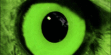 presentfuturefilms_voxhumana_2